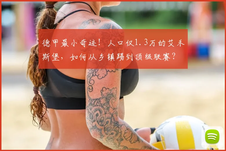 德甲最小奇迹!人口仅1.3万的艾禾斯堡,如何从乡镇踢到顶级联赛?